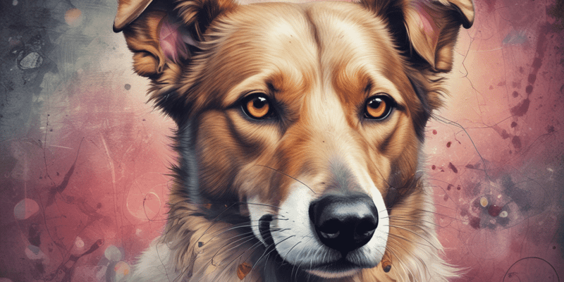 Toxocara Canis: Dog Parasite Quiz