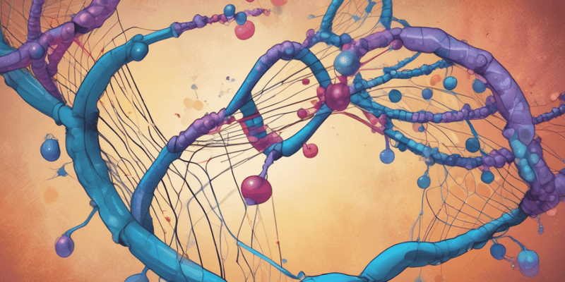 Molecular Biology: mRNA to DNA