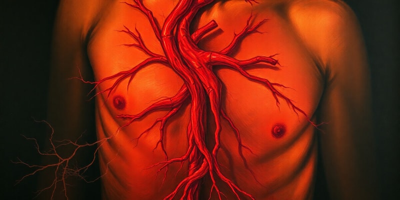 Hemodynamics Study Notes