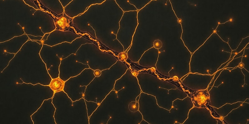 Neuroscience: Resting Membrane Potential and Signals