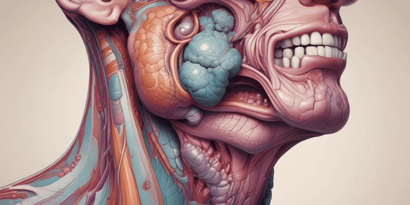 Anatomy of Sublingual Gland