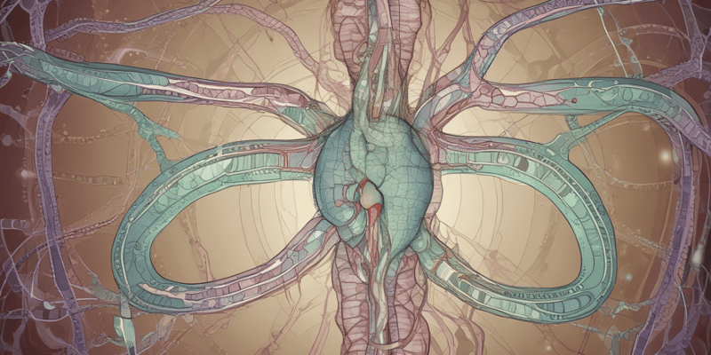 Enteric Nervous System Quiz