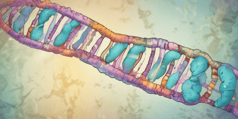 Chromosome Structure and DNA Replication