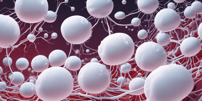 White Blood Cells: Lymphocytes and Phagocytes