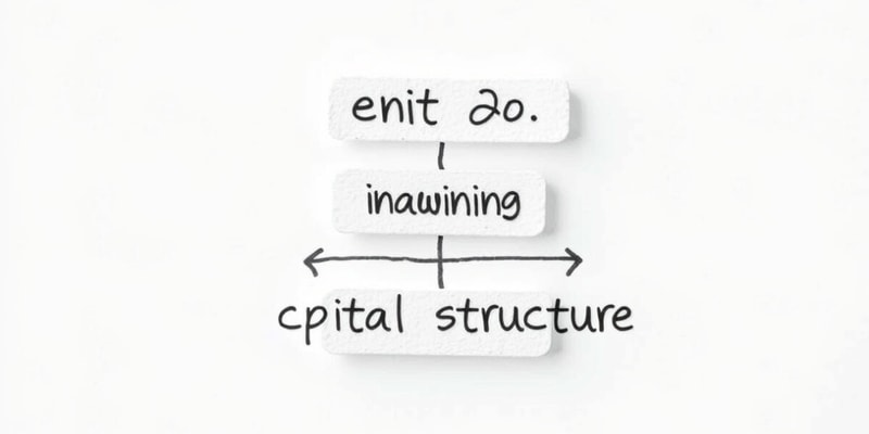 Investment and Financing Decisions