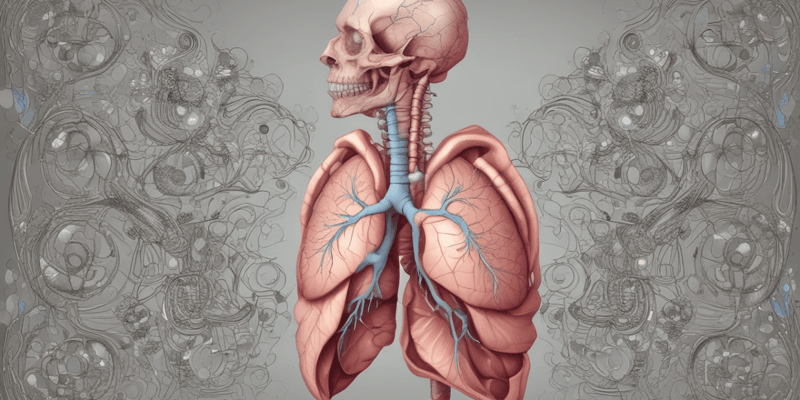 Respiratory Anatomy 1.1
