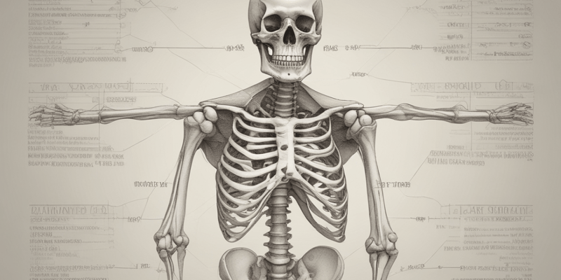 Physics of Skeleton: Bones and Functions