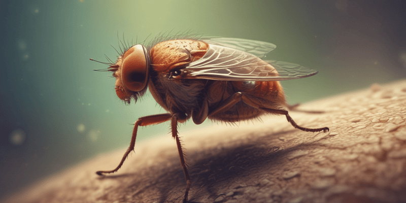 Drosophila melanogaster Hybrid Dysgenesis