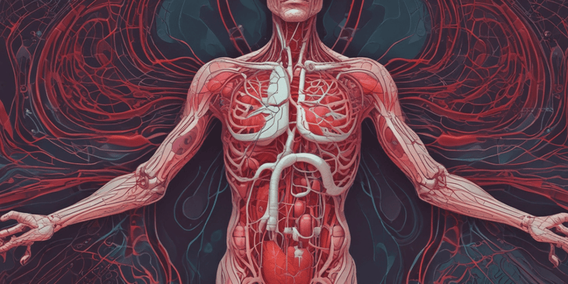Blood Vessels in the Torso and Head