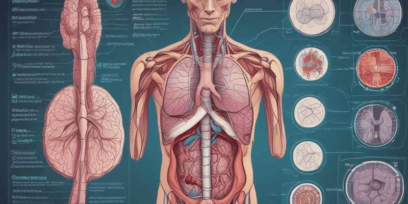 Medical Terminology Quiz