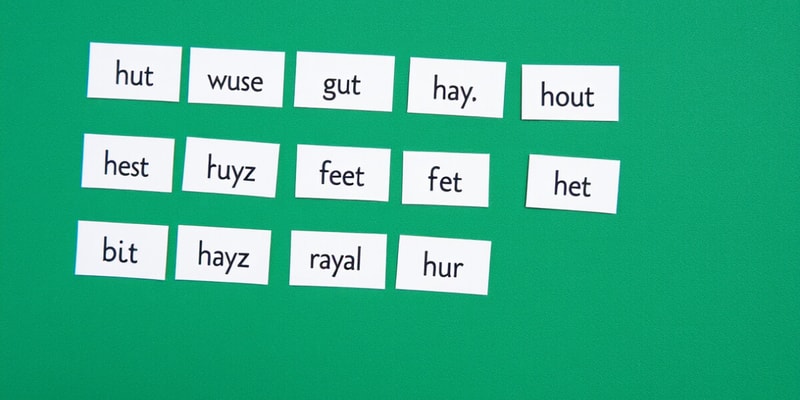 Vowel Classification and Pronunciation