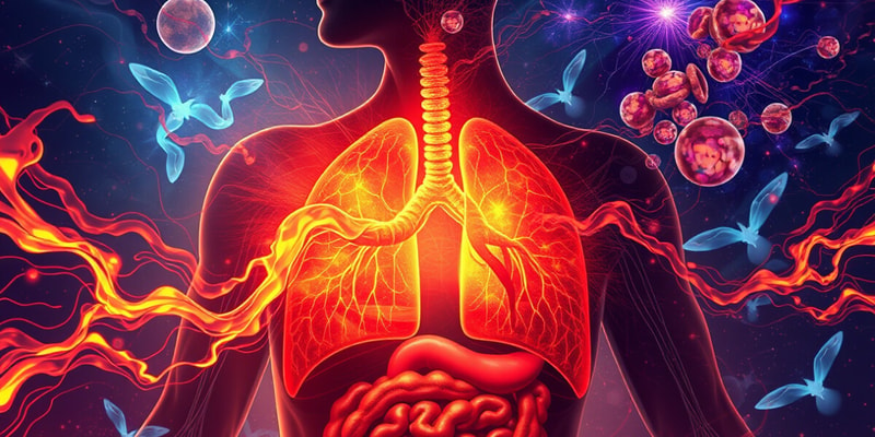 Biology Chapter on Respiration and Digestion