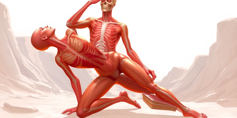 Anatomical Planes and Body Positions