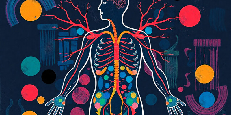 Endocrine System Functions Quiz