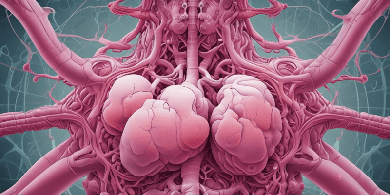 Anatomy of Alveoli