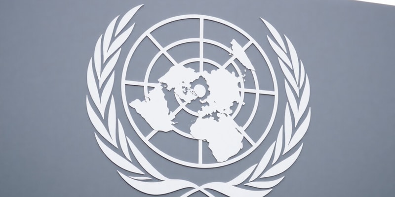 The United Nations Overview