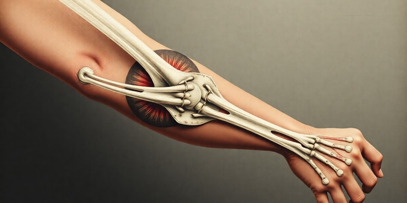 Elbow Dislocation Management Quiz