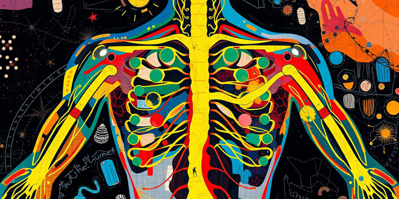 Biology chapter 4.3 Nervous System Functions Overview