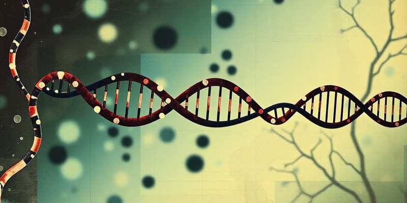 DNA Replication Mechanism Quiz