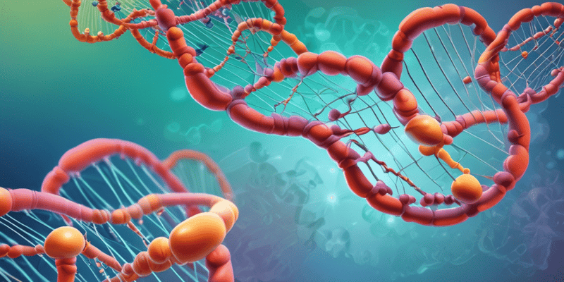 Molecular Biology: RNA Synthesis and Gene Regulation