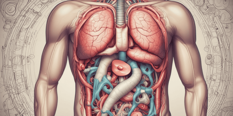 Digestive System and Related Disorders Quiz