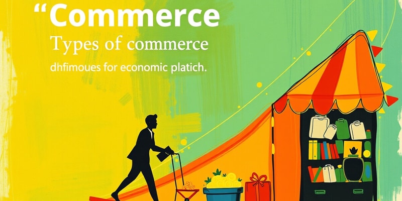 Commerce Overview Quiz