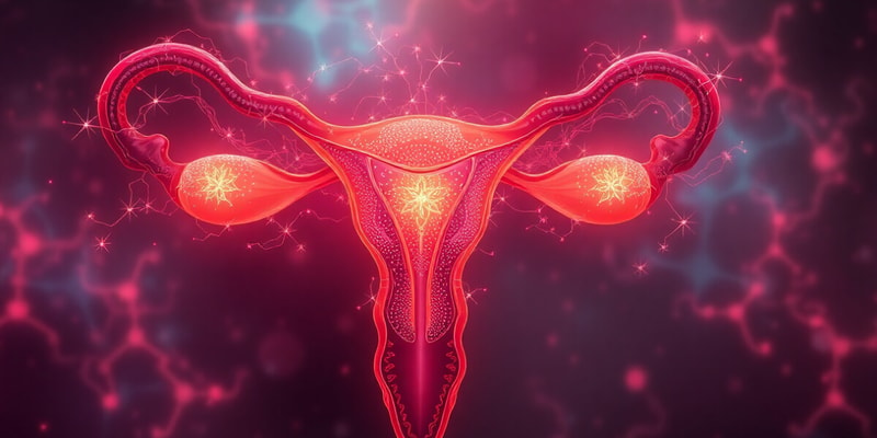 Hormonal Regulation and Menstrual Cycle Quiz