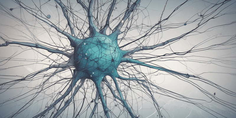 Introduction to Neuronal Networks