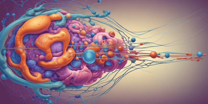 Zellkern und Chromatin in eukaryotischen Zellen