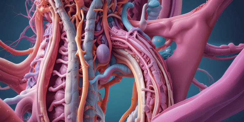 4.1 Gastrointestinal System Anatomy & General Principles Quiz
