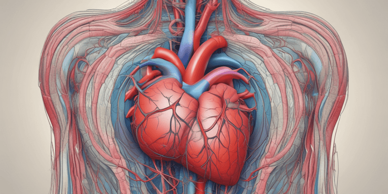 Clase 3 | Hipertensión Arterial