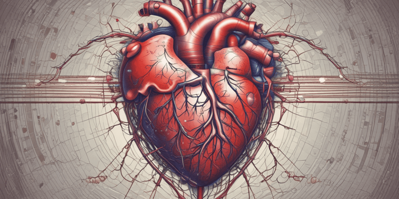 Anatomy of the Heart: Structures and Functions