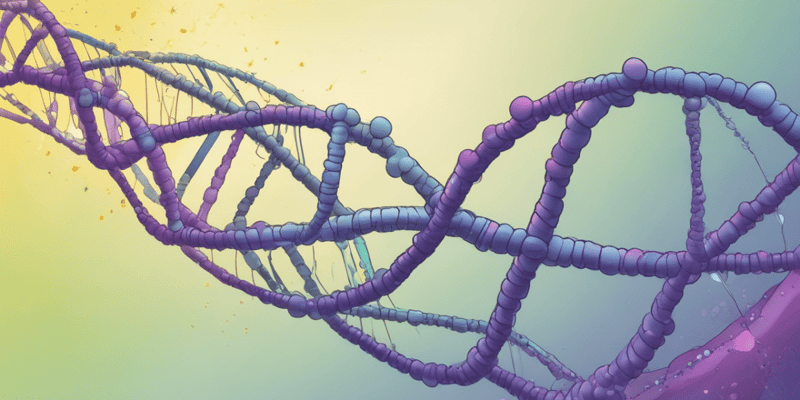 DNA Transcription Overview