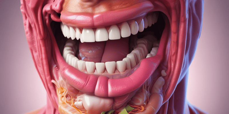 Appetite Center and Mouth Anatomy