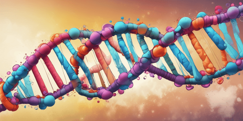DNA Replication and Enzymes