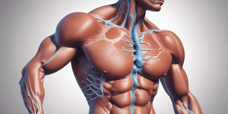 Muscle Bio Week 3: Fuel Delivery and Storage in Skeletal Muscle