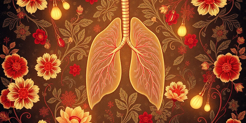 Arterial Blood Gases Quiz