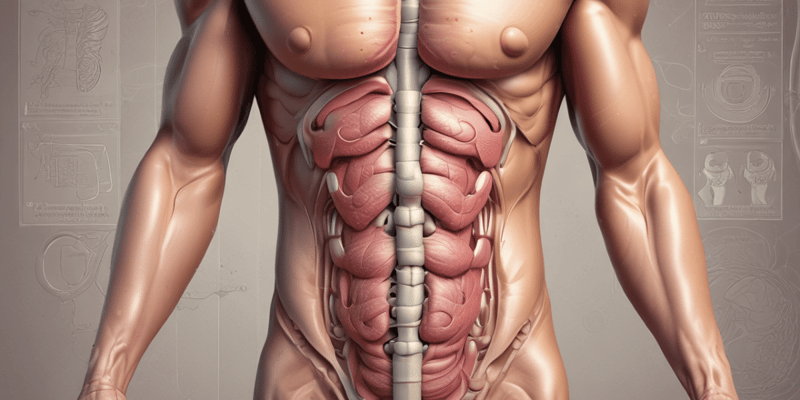 Hypotonic Colon and Urinary Retention Quiz