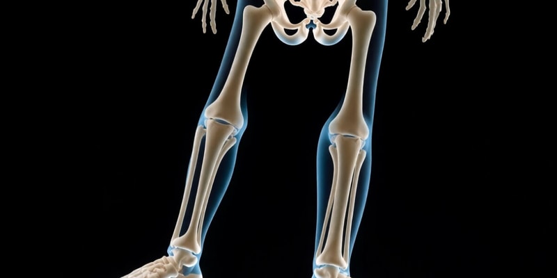 The Child with a Musculoskeletal Condition