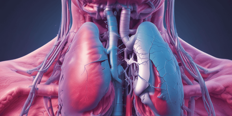 Respiratory Acidosis vs Respiratory Alkalosis Manifestations V2