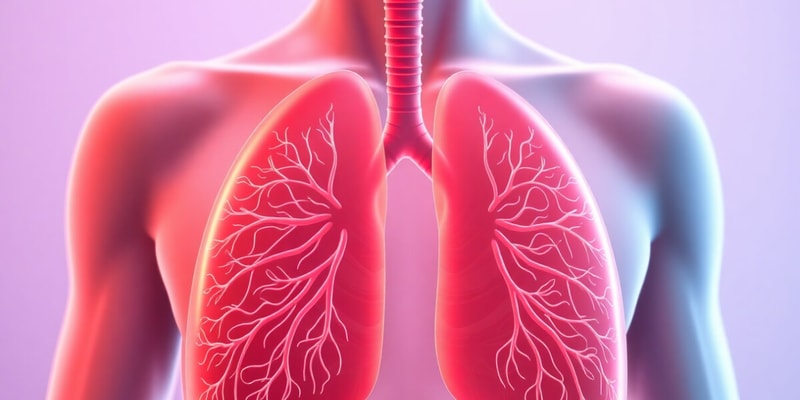 Digestive and Respiratory System Overview