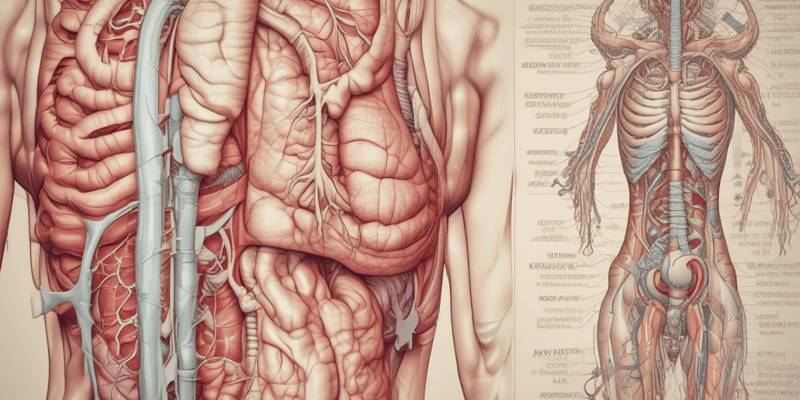 Anatomy of Stomach's Mucosa