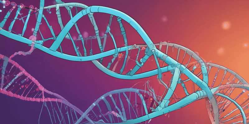 DNA Replication Mechanisms: Part 2