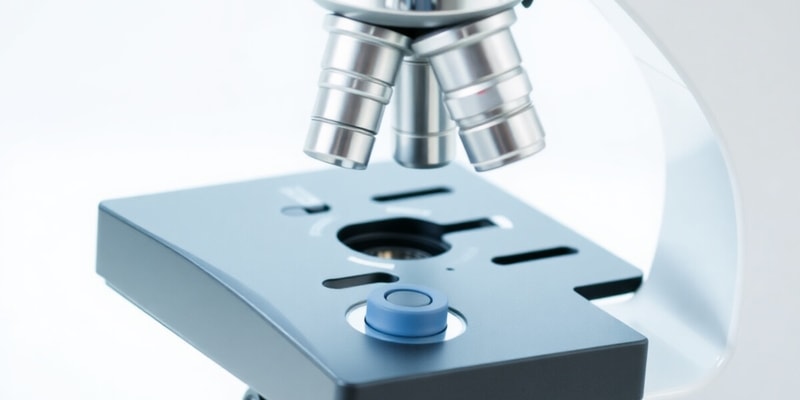 Microscopy Parts and Functions Quiz