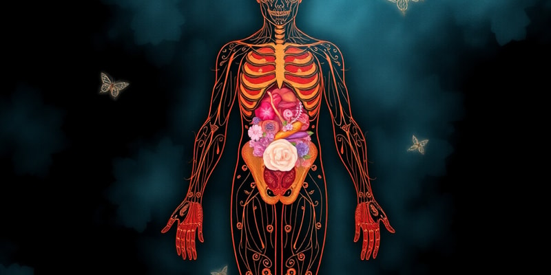 Levels and Types of Tissues in the Human Body