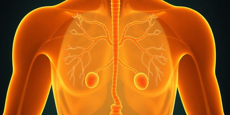 Peripheral Endocrine Glands Overview