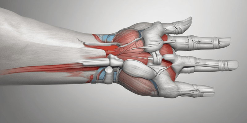 De Quervain Tendinopathy: Thumbs and Finger Tendon Lesions