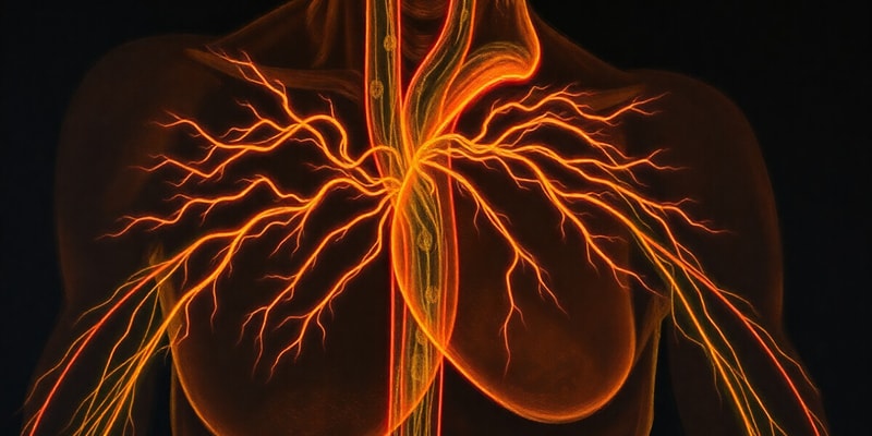 Sodium Channel Regulation in Heart Function