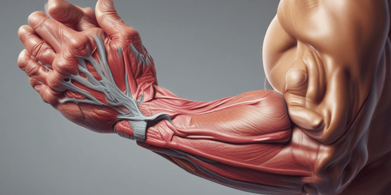 Anatomy of Dorsal Interosseous Muscle and Flexor Retinaculum
