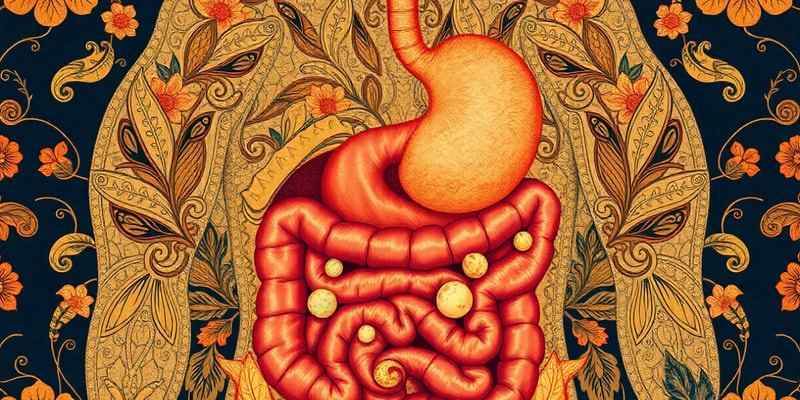 Digestive System Overview